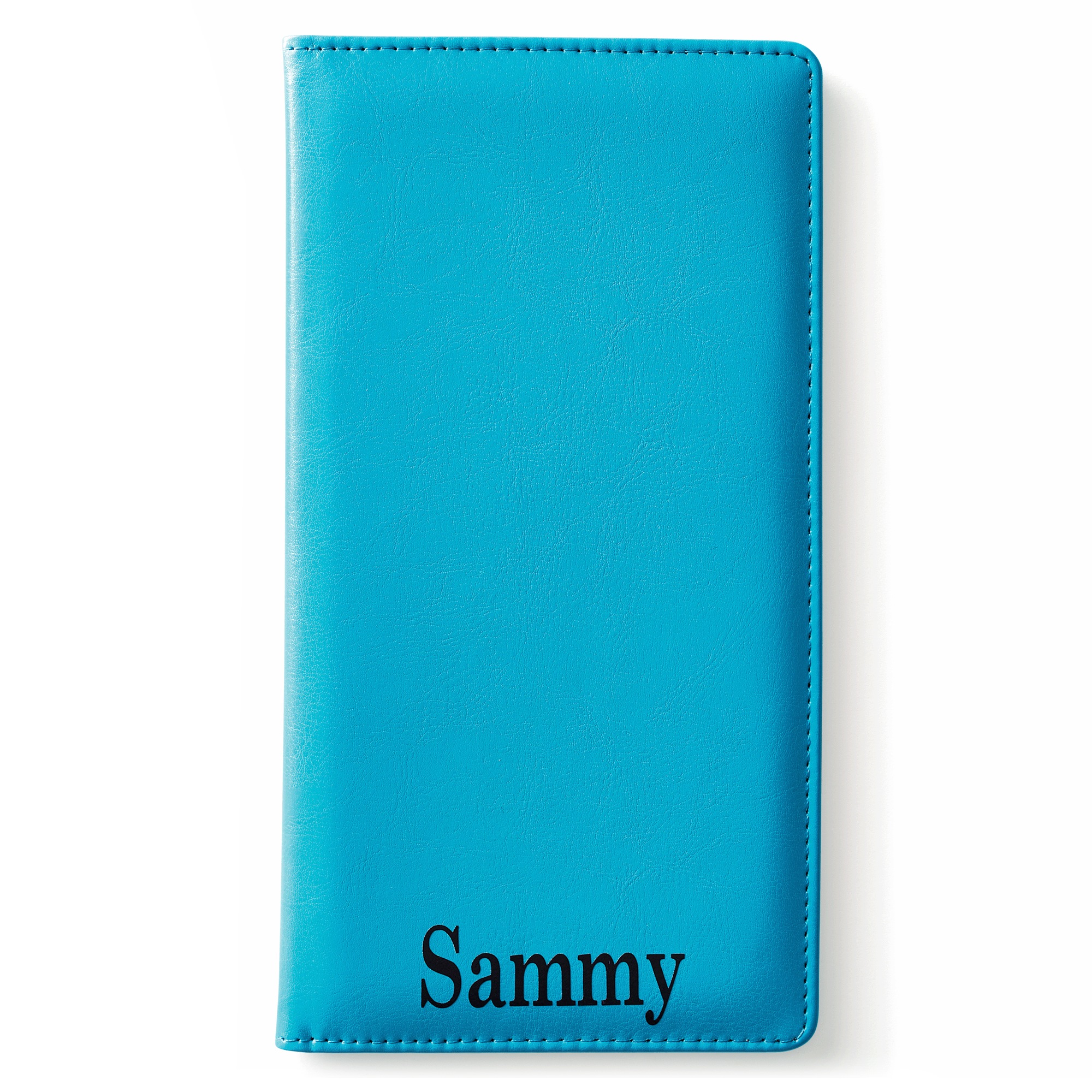 Never Lost Travel Document Keeper, Teal, large