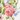 Cottage Valance, Cottage Rose, swatch