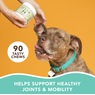 Natural Dog Company Hip & Joint Supplement, , large