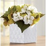 Hydrangea in Embossed Ceramic Pot, , large