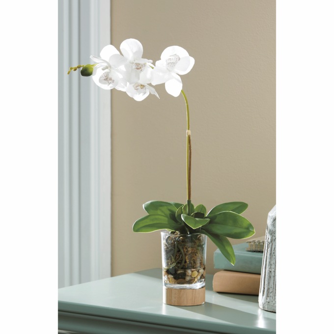 Potted Orchid, , large