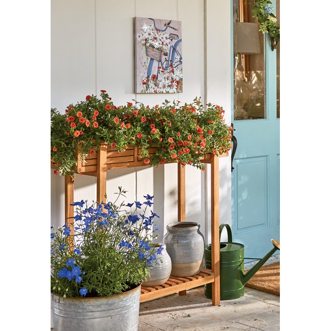 Daisy Bicycle Indoor Outdoor Lit Canvas Art Country Door