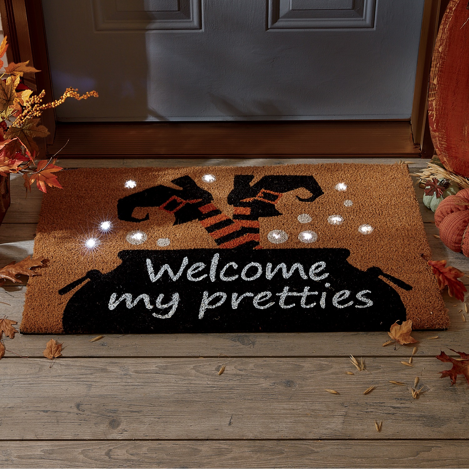 LED Coir Mat 18" X 30" Country Door