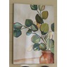 Potted Peperomia Canvas, , large