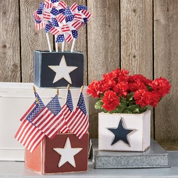 Set of 3 Americana Containers, , large
