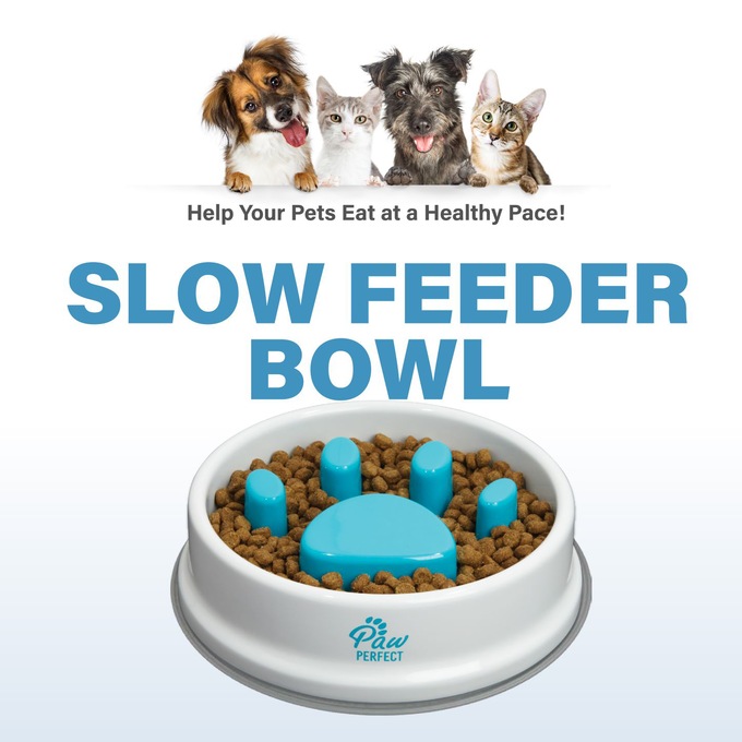 Paw Perfect Slow Feeder Bowl, , large
