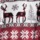 Red Deer