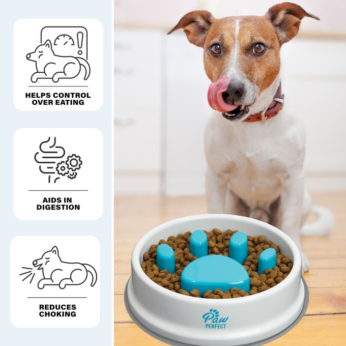 Paw Perfect Slow Feeder Bowl, , large