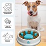 Paw Perfect Slow Feeder Bowl, , large
