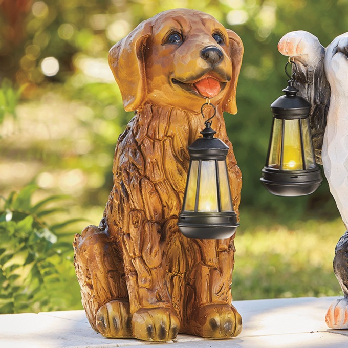 Solar Pet with Lantern, , large