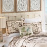 Destin Sham, , large