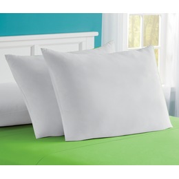 Set of 2 Pillows, , large