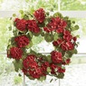 Geranium Wreath, , large