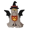 Lit Trick-or-Treat Cat, , large
