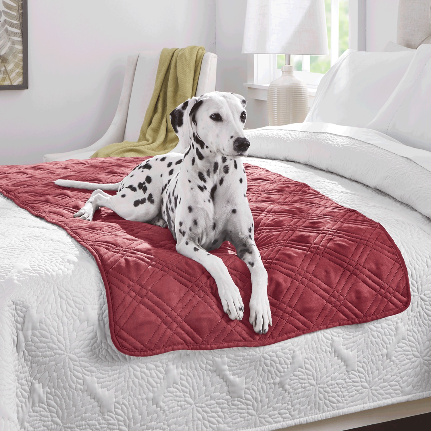 Faux suede protector sale