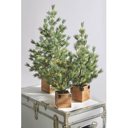 Set of 3 Lit Rustic Trees in Wood Boxes, , large