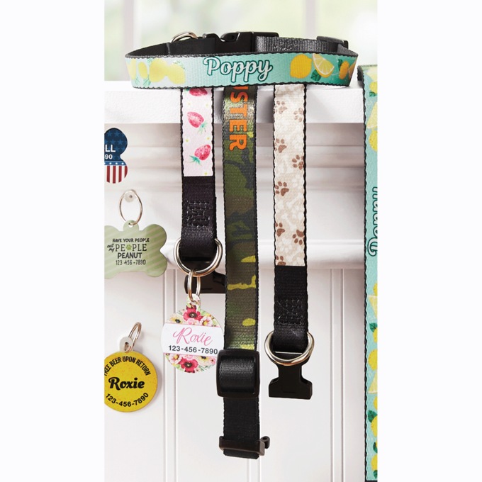 Personalized Dog Collar, , large