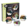 Craft Crush Mini Terrariums Kit, , large