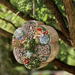 Succulent Bee Habitat, , large
