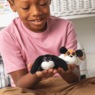 Classic Mini Toys, , large