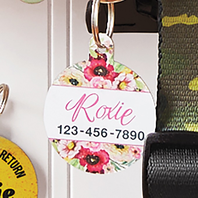 Personalized Pet Tag, , large