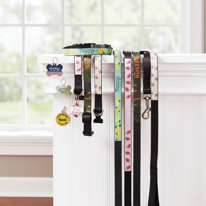 Personalized Pet Tags, Collars and Leashes, , large