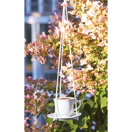 Teacup Bird Feeder, , large