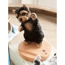 Dog Cell Phone Holder, , large
