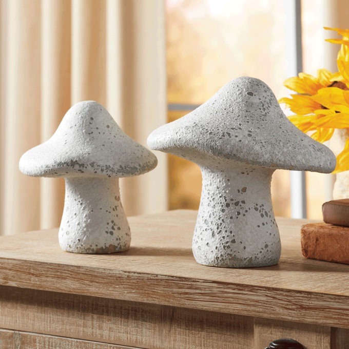 Set of 2 Decorative Weathered Mushrooms, , large
