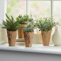 Set of 4 Herbs in Pots, , large