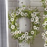 Daisy Wreath, , large