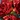 Solar Memorial Cross, Red, swatch
