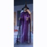 Standing Witch with Broom, , large
