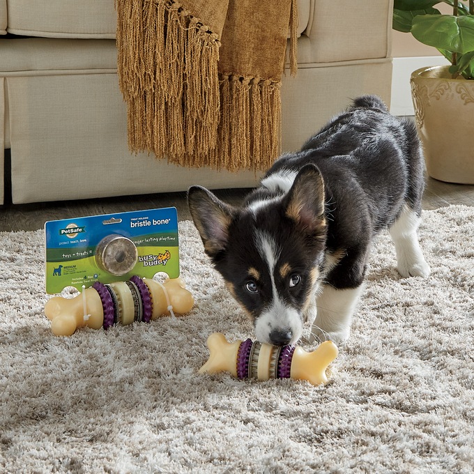 Busy buddy bristle bone new arrivals