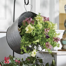 Hanging Galvanized Metal Bucket Planter, , large