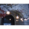 25' Solar String Lights, , large