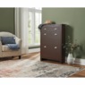 Blount Shoe Storage Cabinet, , large