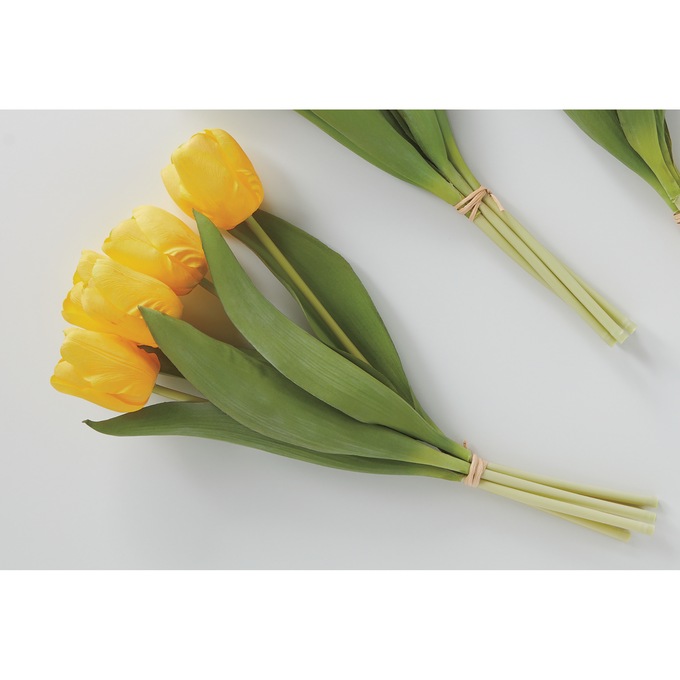 Tulip Stems, Yellow, large