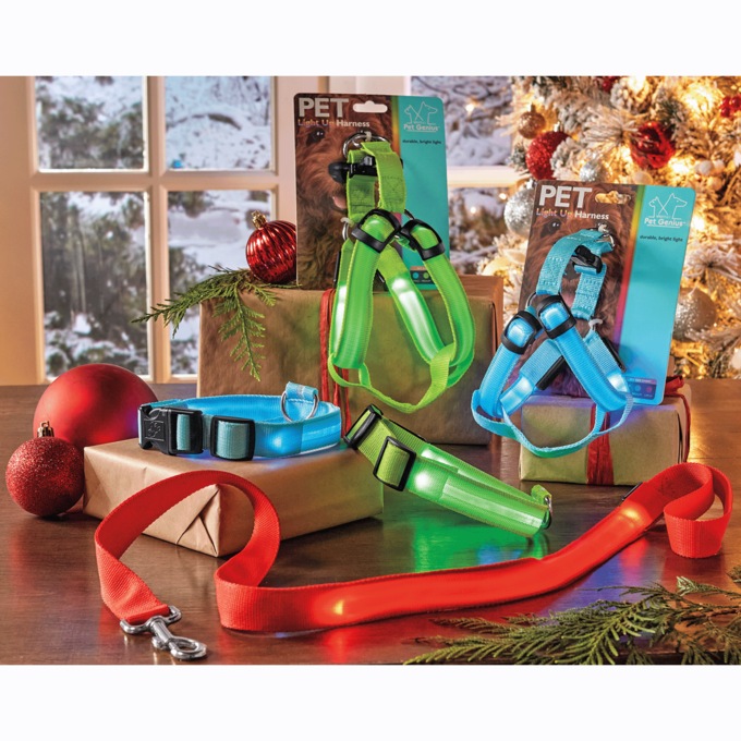 LED Dog Walking Gear, , large