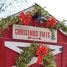 Lit Garland with Red Bow, , large
