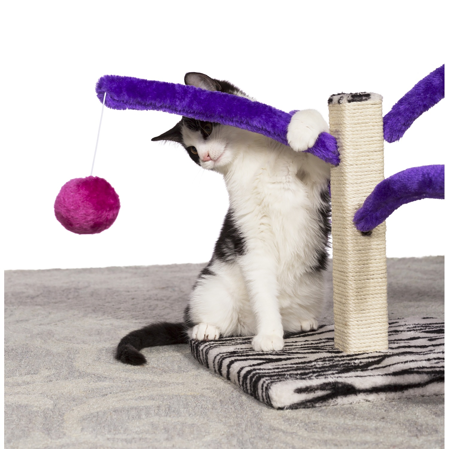 Prevue Pet Products Bounce N Spring Cat Scratcher Country Door