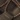 Skechers Men's Slip-Ins Tresmen Norvick Fisherman Sandal, Chocolate, swatch