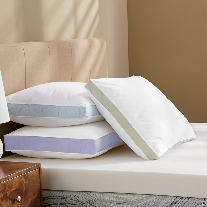 Sleep Connection Set of 2 Density Pillows