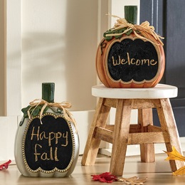 Set of 2 Chalkboard Pumpkins, , large