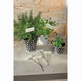 Set of 6 Herb Picks, , large