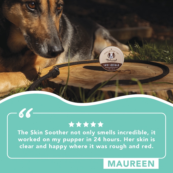 Natural Dog Company 2-oz. Paw Soother, , large