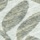 Fern
