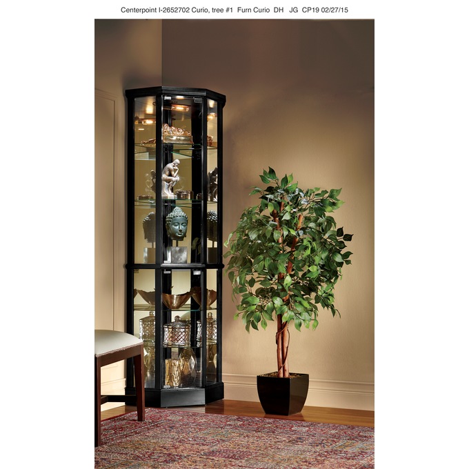 Black lighted curio 2025 cabinet