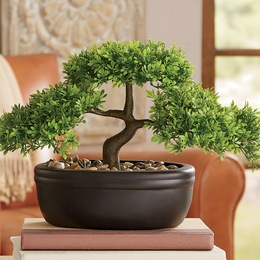 Faux Bonsai Tree in Ceramic Pot, , large