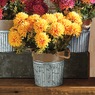 Faux Mums in Galvanized Pot, , large